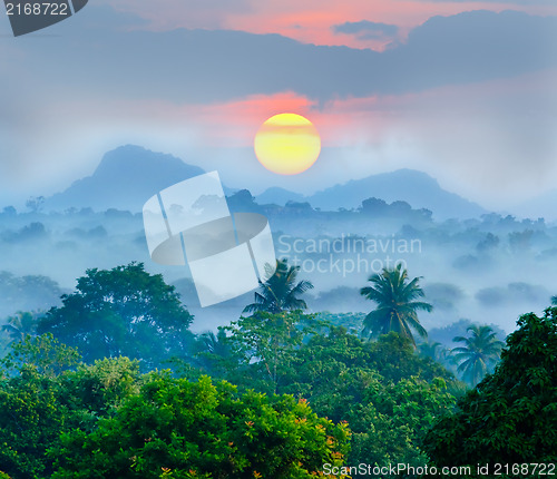 Image of sunrise in the jungles