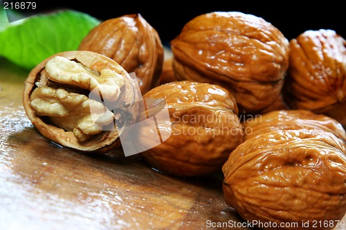 Image of Wet Walnuts