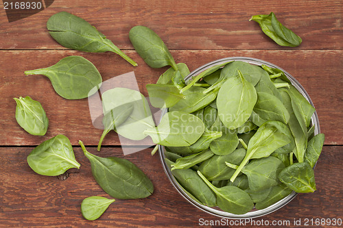 Image of bowl of baby spinach