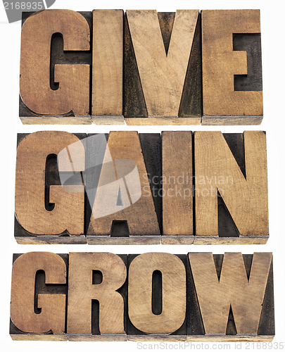 Image of give, gain and grow