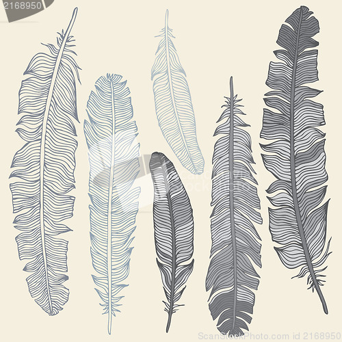 Image of Feather Set