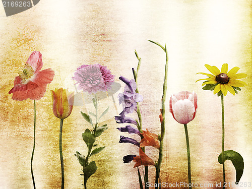 Image of Flowers Background