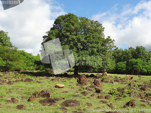Image of impression of Guadeloupe