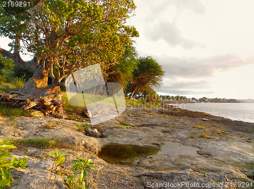 Image of coastal scenery at Guadeloupe