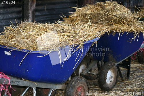 Image of Equestrian Straw Barrows