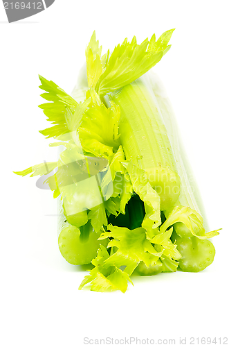 Image of Celery