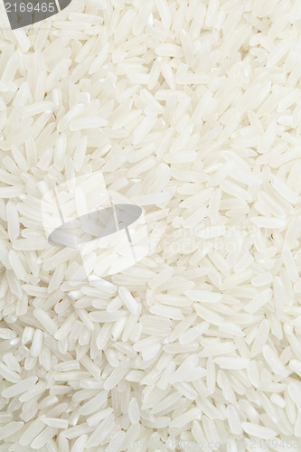 Image of Rice 