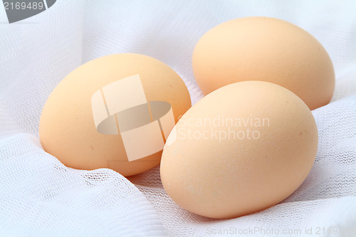 Image of Egg 