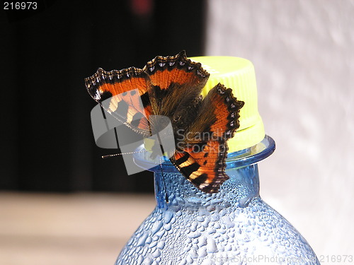 Image of butterfly on bottle