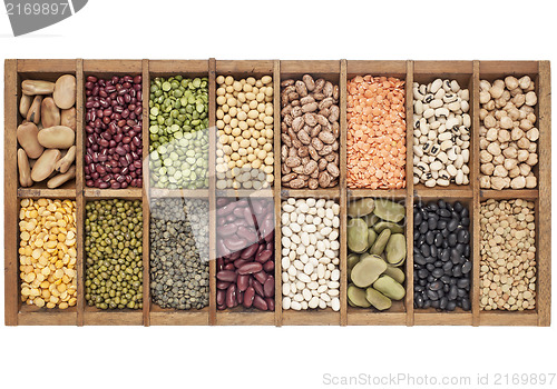Image of set of 16 legume samples