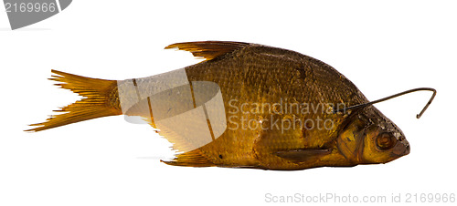 Image of smoked bream fish isolated on white 