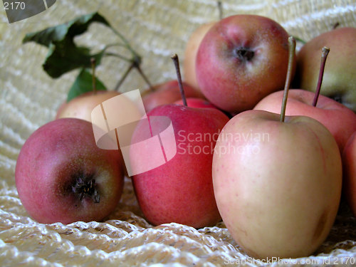 Image of apples