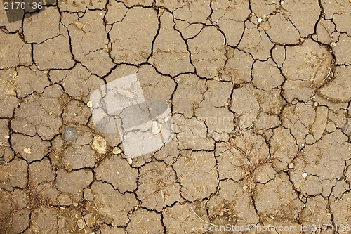 Image of Dry Soil