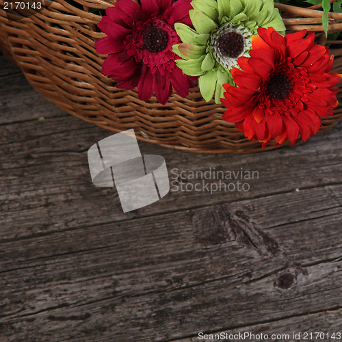 Image of Colorful flowers