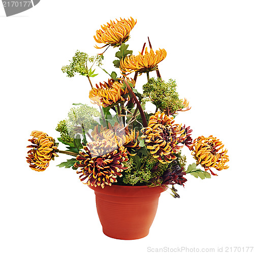 Image of Bouquet from chrysanthemums arrangement centerpiece in vase isol