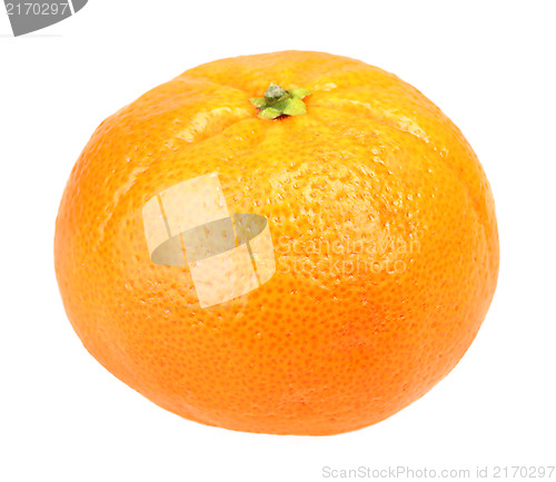 Image of One full fruit of orange tangerine