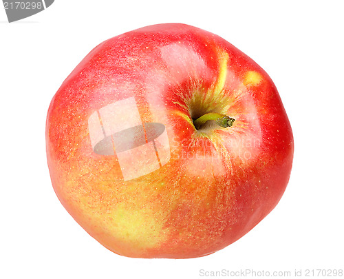 Image of Single a fresh red-yellow apple