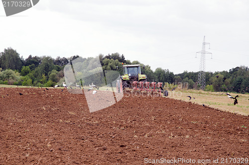 Image of tractor work agriculture field autumn storks bird 