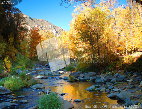 Image of FALL REFLECTION