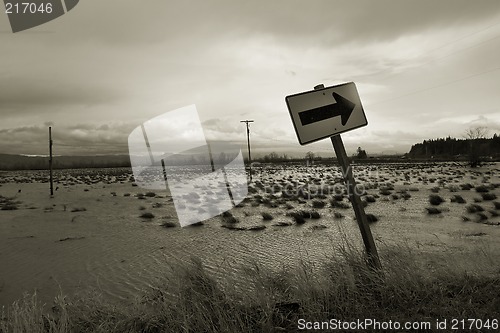 Image of Flood, Svensen Island 2