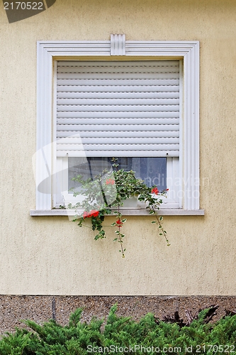 Image of Window