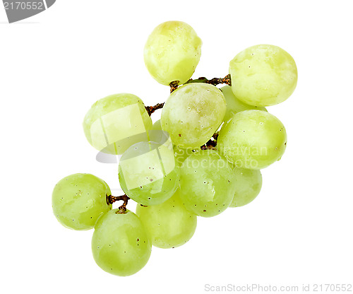 Image of Small branch of fresh green grape