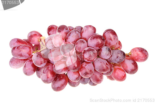 Image of Branch of fresh purple grape