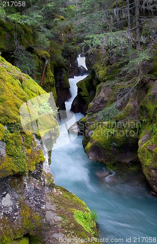 Image of Avalanche Creek, Glacier National Park