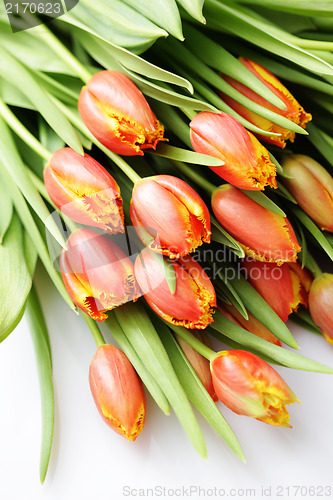 Image of lovely tulips