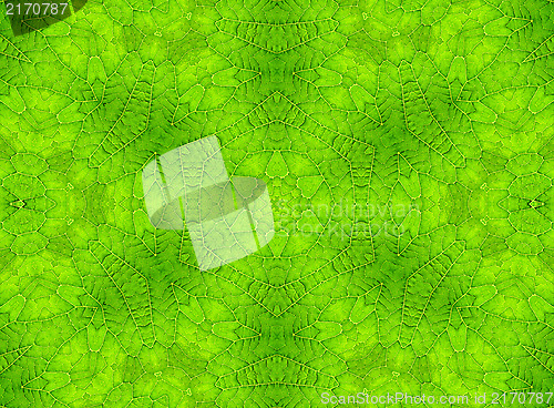 Image of Green leaf abstract pattern