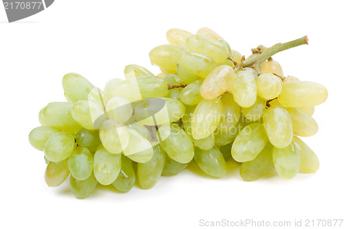 Image of Bunch of white grapes with water drops isolated on white