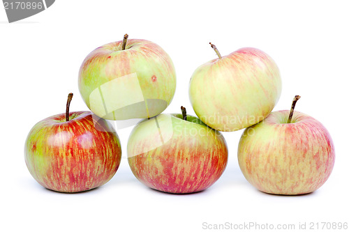 Image of Five ripe apples on white background. Isolated.