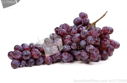 Image of Fresh blue grape fruit on white background