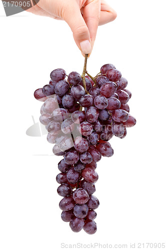 Image of Girl holding grape