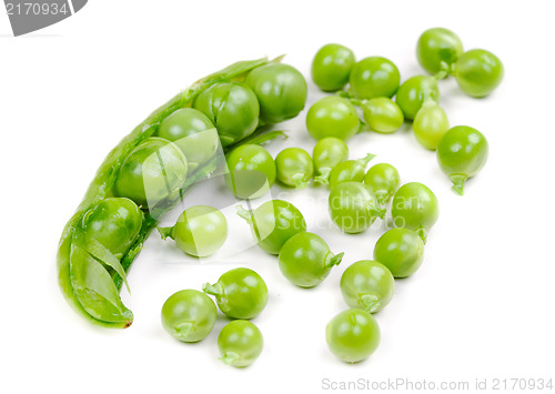 Image of Green peas pods over a white