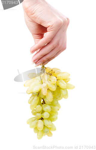 Image of bunch of a green grapes in hand of the woman