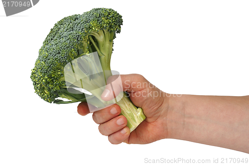 Image of Broccoli