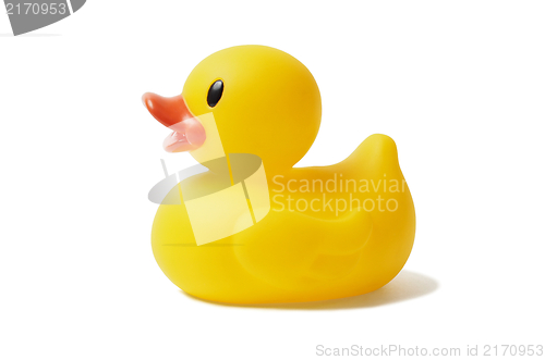 Image of Rubber Duck