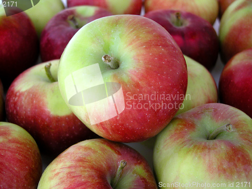 Image of apples