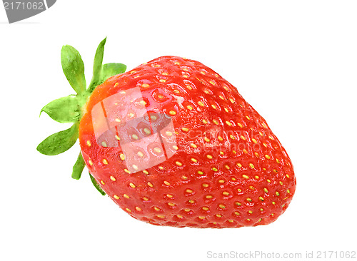 Image of One red berry fresh strawberry