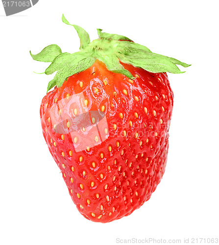 Image of One red berry fresh strawberry