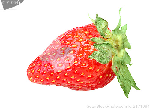 Image of One red berry of fresh strawberry