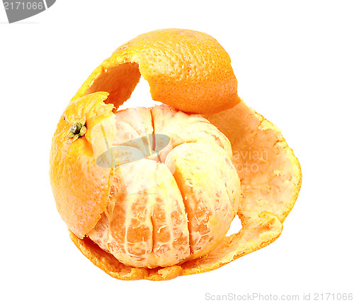 Image of One fruit of orange tangerine with skin
