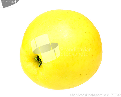 Image of Single a fresh yellow apple