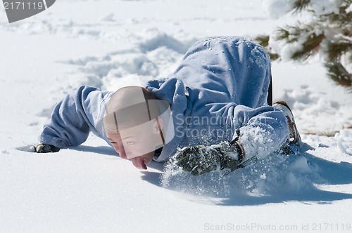 Image of Bald boy licking the snow