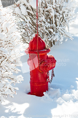 Image of Red fire hydrant in snow