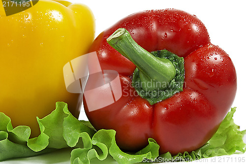 Image of red pepper paprika