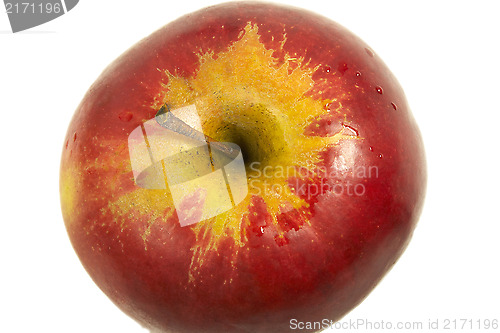 Image of fresh red apple