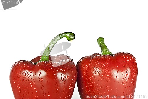 Image of red pepper paprika