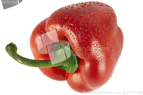 Image of red pepper paprika